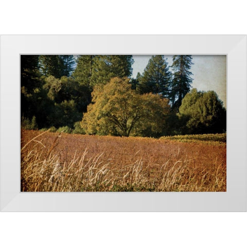 Vineyard Tapestry I White Modern Wood Framed Art Print by Crane, Rita