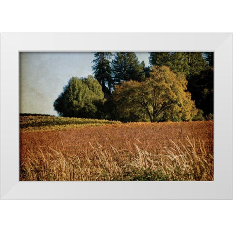 Vineyard Tapestry II White Modern Wood Framed Art Print by Crane, Rita