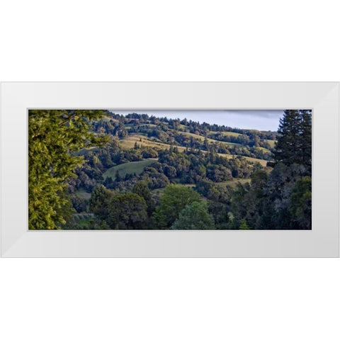 Woodland Pastures I White Modern Wood Framed Art Print by Crane, Rita