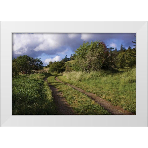 In the Country I White Modern Wood Framed Art Print by Crane, Rita