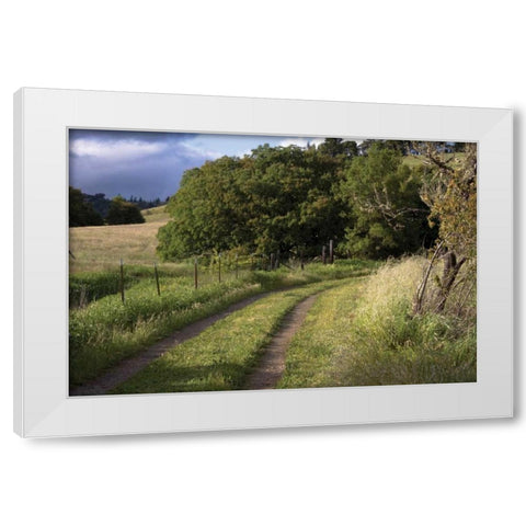 In the Country II White Modern Wood Framed Art Print by Crane, Rita