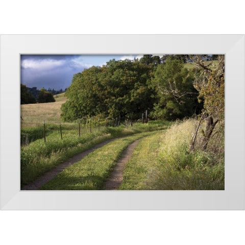 In the Country II White Modern Wood Framed Art Print by Crane, Rita