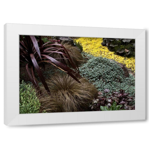Garden Glimpse IV White Modern Wood Framed Art Print by Crane, Rita