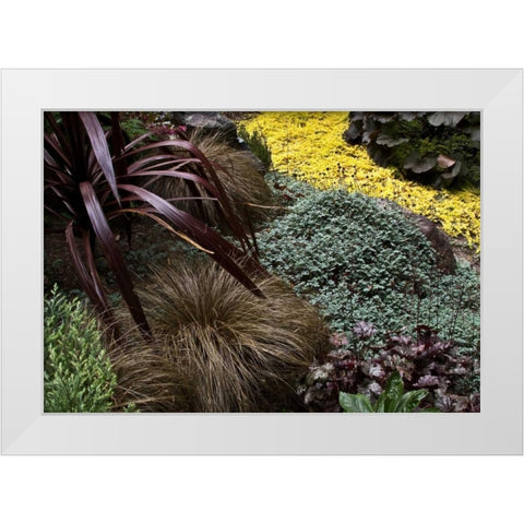 Garden Glimpse IV White Modern Wood Framed Art Print by Crane, Rita