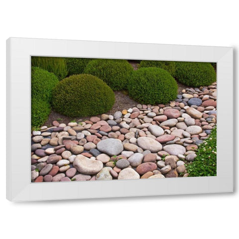 Garden Glimpse VIII White Modern Wood Framed Art Print by Crane, Rita