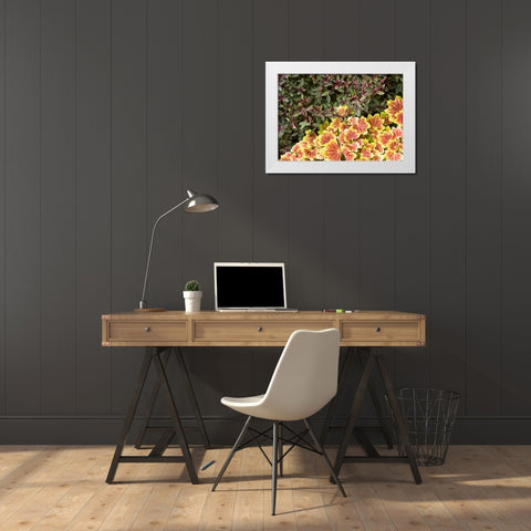 Garden Glimpse IX White Modern Wood Framed Art Print by Crane, Rita