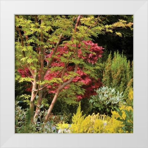 Garden Tapestry II White Modern Wood Framed Art Print by Crane, Rita