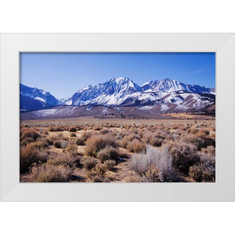 Eastern Sierra II White Modern Wood Framed Art Print by Crane, Rita