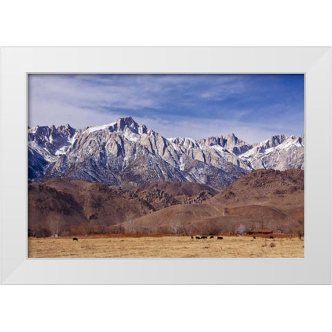 Mt. Whitney Range I White Modern Wood Framed Art Print by Crane, Rita