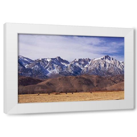 Mt. Whitney Range II White Modern Wood Framed Art Print by Crane, Rita