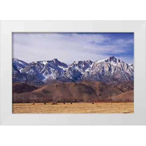 Mt. Whitney Range II White Modern Wood Framed Art Print by Crane, Rita