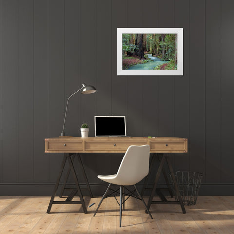 Redwood Forest II White Modern Wood Framed Art Print by Crane, Rita