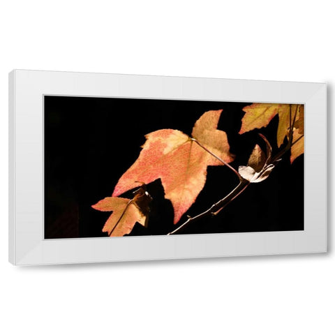 Amber Leaves I White Modern Wood Framed Art Print by Crane, Rita