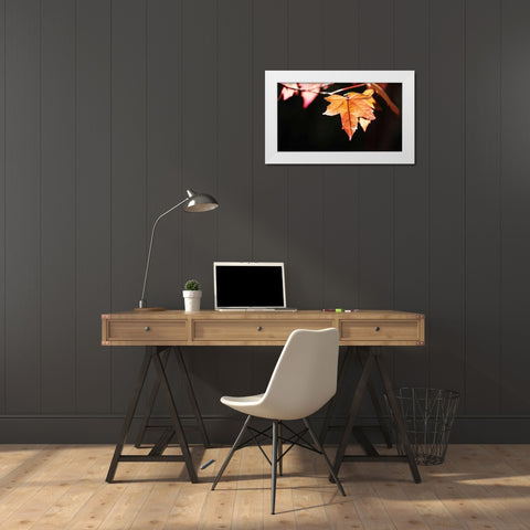 Amber Leaves II White Modern Wood Framed Art Print by Crane, Rita