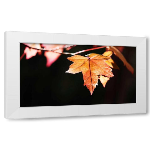 Amber Leaves II White Modern Wood Framed Art Print by Crane, Rita