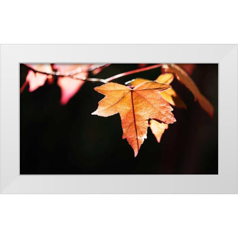 Amber Leaves II White Modern Wood Framed Art Print by Crane, Rita