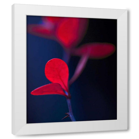 Dancing Blue and Red I White Modern Wood Framed Art Print by Crane, Rita