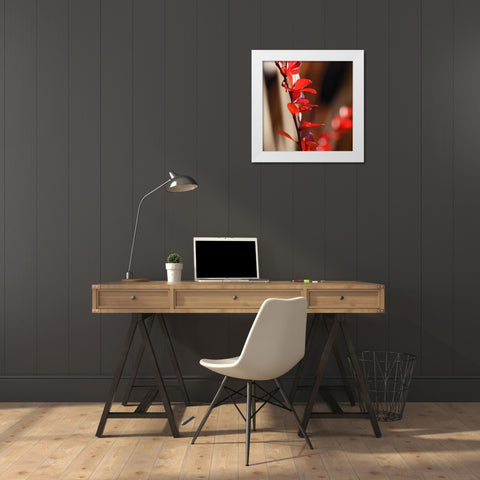 Red Leaves I White Modern Wood Framed Art Print by Crane, Rita