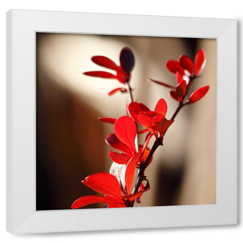 Red Leaves II White Modern Wood Framed Art Print by Crane, Rita