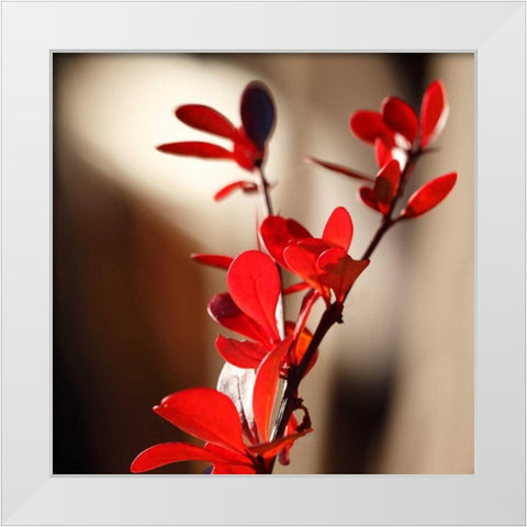Red Leaves II White Modern Wood Framed Art Print by Crane, Rita