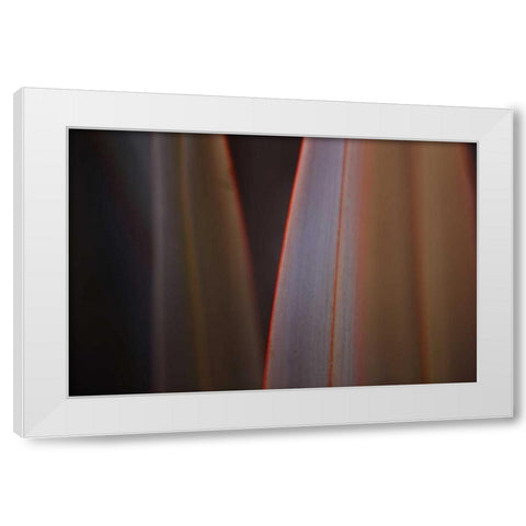 Leaves With Red I White Modern Wood Framed Art Print by Crane, Rita