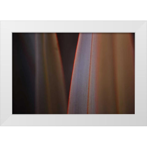 Leaves With Red I White Modern Wood Framed Art Print by Crane, Rita