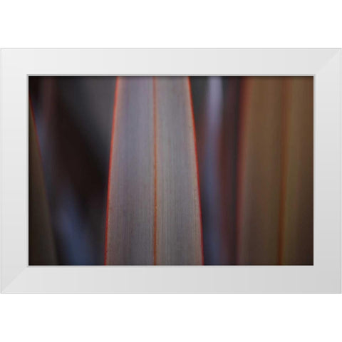 Leaves With Red II White Modern Wood Framed Art Print by Crane, Rita