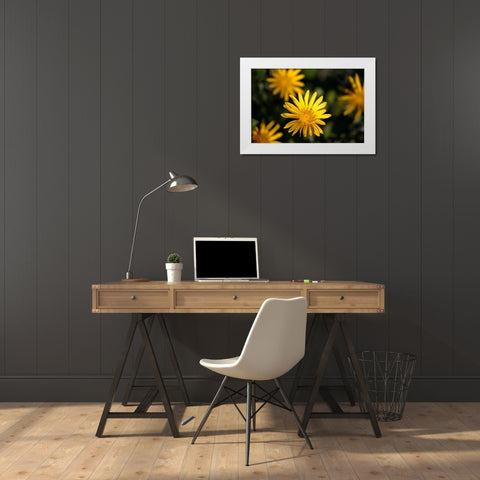 Celebration I White Modern Wood Framed Art Print by Crane, Rita