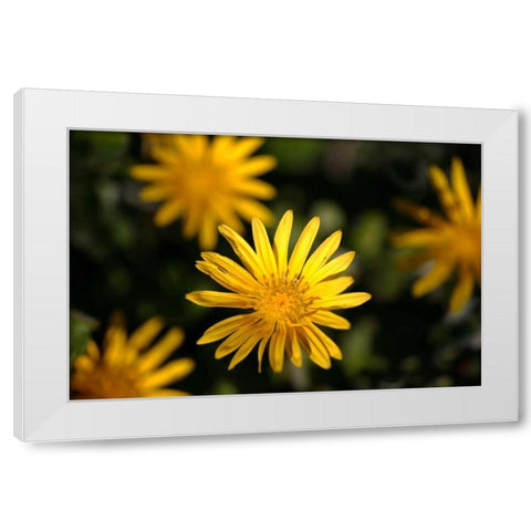 Celebration I White Modern Wood Framed Art Print by Crane, Rita