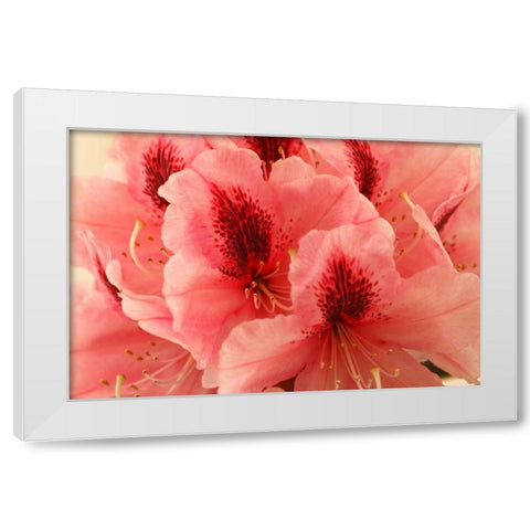 Delicate Petals I White Modern Wood Framed Art Print by Crane, Rita