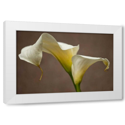 Calla Elegance I White Modern Wood Framed Art Print by Crane, Rita