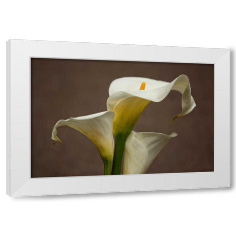 Calla Elegance II White Modern Wood Framed Art Print by Crane, Rita