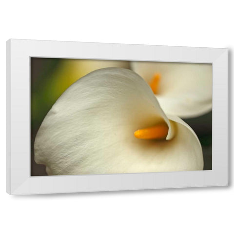 Calla Lilies I White Modern Wood Framed Art Print by Crane, Rita