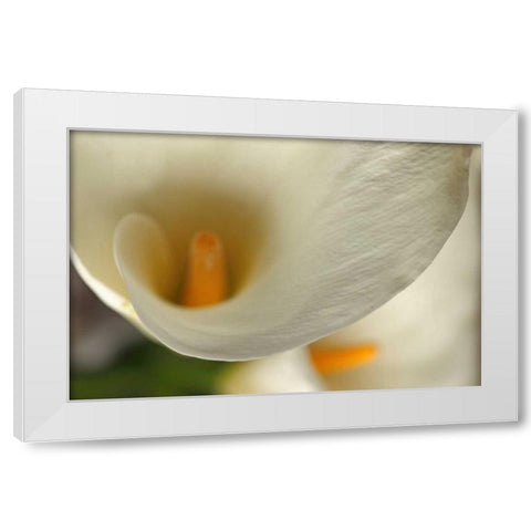 Calla Lilies II White Modern Wood Framed Art Print by Crane, Rita