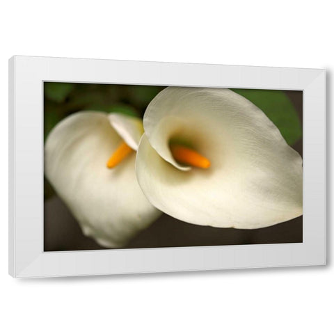 Calla Lilies III White Modern Wood Framed Art Print by Crane, Rita