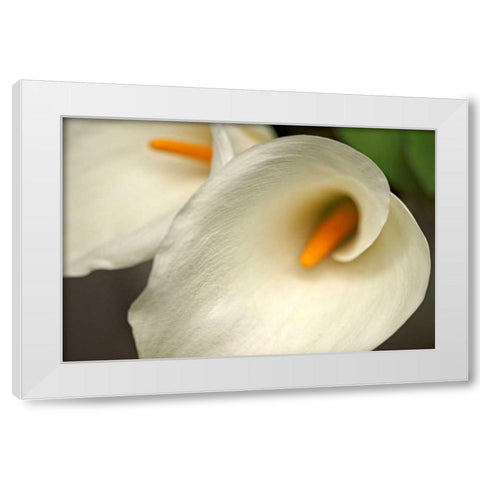 Calla Lilies IV White Modern Wood Framed Art Print by Crane, Rita