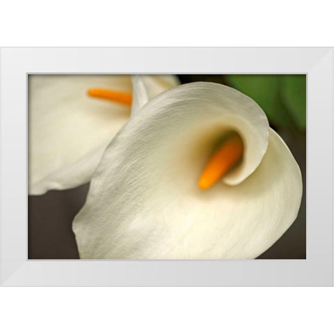 Calla Lilies IV White Modern Wood Framed Art Print by Crane, Rita