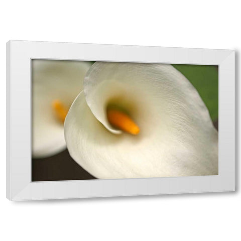 Calla Lilies VI White Modern Wood Framed Art Print by Crane, Rita