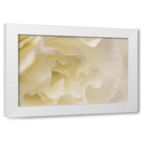 Soft White Begonia I White Modern Wood Framed Art Print by Crane, Rita
