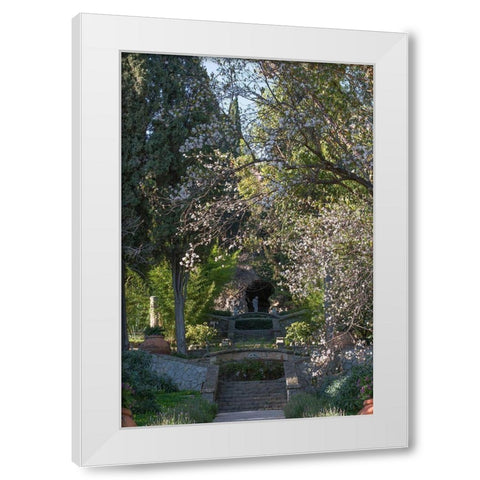 Italian Garden II White Modern Wood Framed Art Print by Crane, Rita