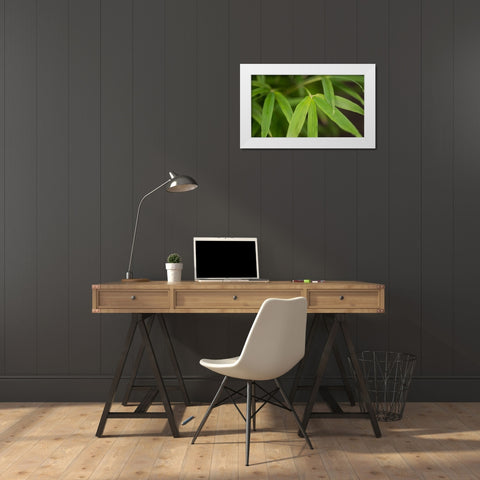 Bamboo Leaves I White Modern Wood Framed Art Print by Crane, Rita