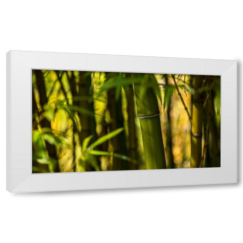 Bamboo Afternoon I White Modern Wood Framed Art Print by Crane, Rita