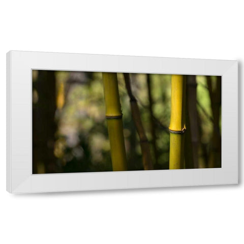 Bamboo Afternoon IV White Modern Wood Framed Art Print by Crane, Rita