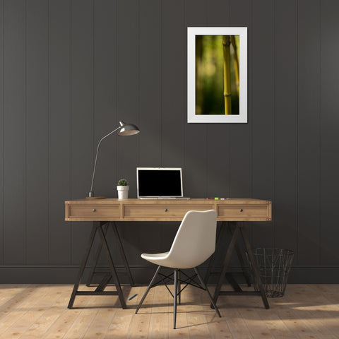 Bamboo Afternoon X White Modern Wood Framed Art Print by Crane, Rita