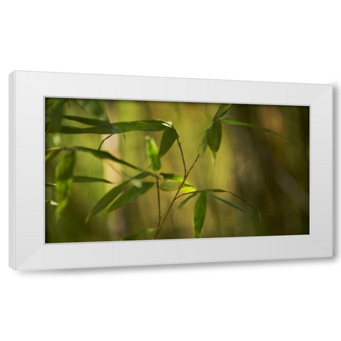Bamboo Afternoon XI White Modern Wood Framed Art Print by Crane, Rita