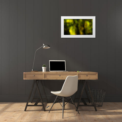 Dream Forest I White Modern Wood Framed Art Print by Crane, Rita