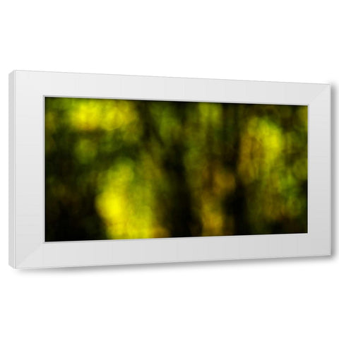 Dream Forest I White Modern Wood Framed Art Print by Crane, Rita