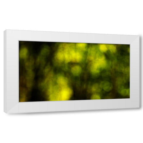 Dream Forest II White Modern Wood Framed Art Print by Crane, Rita