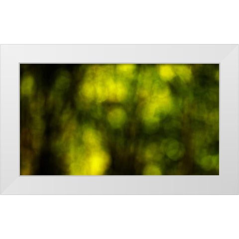 Dream Forest II White Modern Wood Framed Art Print by Crane, Rita