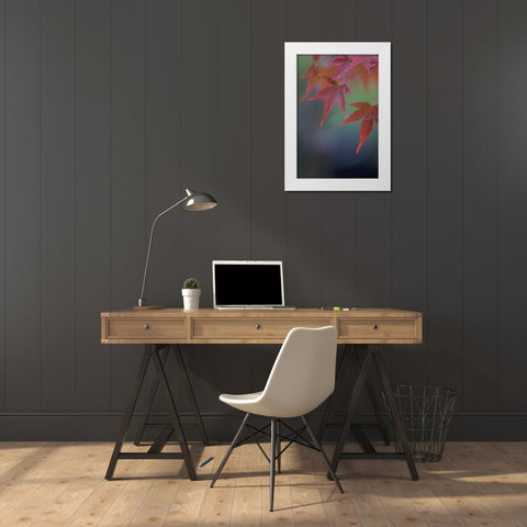 Japanese Maple VI White Modern Wood Framed Art Print by Crane, Rita